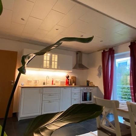 Moderne Ferienwohnung Seeblick Freudenberg  Extérieur photo